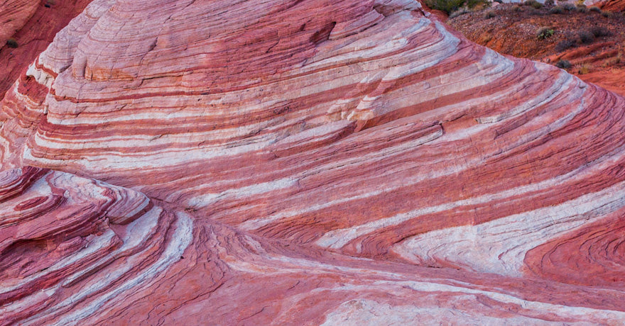 Healing Power of Sunlight